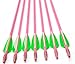 GPP® 28 Inch Pink Fiberglass Archery Target Arrows - Practice Arrows or Youth Arrows for Recurve Bow,12 PK