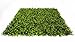 Ranka Artificial Myrtle Greenery Panels 40x40 inches