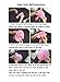 Fecedy™ 18pcs Tissue Paper Pom Poms Flower Ball for Wedding,Festival,Party Decoration (Blue)
