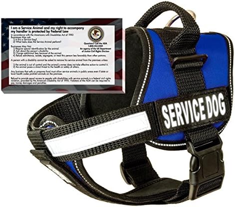 barkOutfitters Service Dog Vest Harness + 50 ADA Info Cards Kit (Blue, (20" - 24") Girth