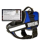barkOutfitters Service Dog Vest Harness + 50 ADA Info Cards Kit (Blue, (20