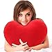 Coxeer Throw Pillows Heart Shape Decorative Pillows Best Pillow for Valentine's Day