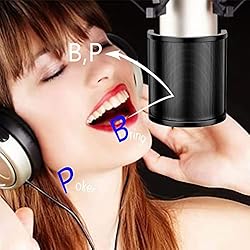 Microphone Pop Filter for Blue Yeti,PEMOTech