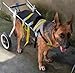 Adjustable Dog Wheelchair (L Size), for Big Dog, Hip Height 20