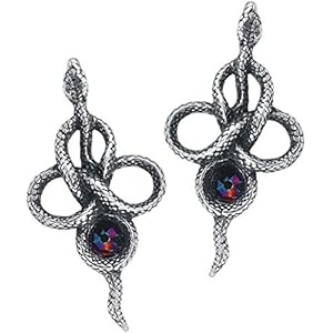 51sD%2BZvl95L. SS300