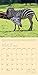 Unlikely Friendships Wall Calendar 2018