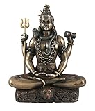 Collectible India Shiva Idol Statue Hindu God