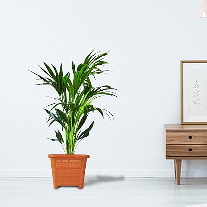 TrustBasket EarthBox Planter Brown 8 inch (Set of 6)