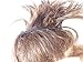 Banana Hair Clip Short Size Girls Ponytail Holder 80's 90's Banana Hair Clip Updo Barrette Medium Size Short (Black-bfa) 5