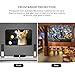 Projector Screen, HENZIN 120