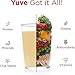 Yuve Vegan Protein Powder with Superfoods - Award Winning Taste - Complete Nutritional Shake - Natural Greens, Plant Based, Non-GMO, Gluten, Dairy, Soy & Lactose Free (Chocolate) 10-Pack(35.5g)