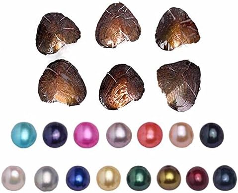 Freshwater Aquaculture Love Wish Pearl Shell Surprise To Explore Rice-shaped Dyeing Colorful Pearl Oyster 5 Pcs(6-7mm)