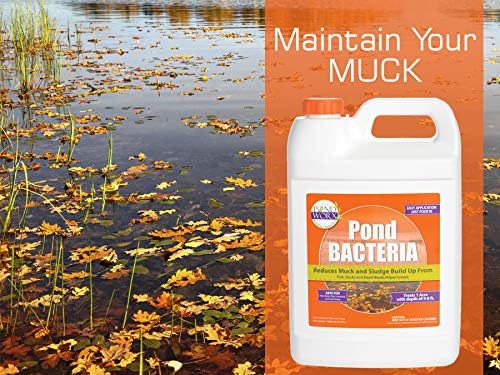 PondWorx Pond Bacteria - Formulated For Large Ponds, Water Features And Safe For Koi - Orange 1 Gallon - Image 3