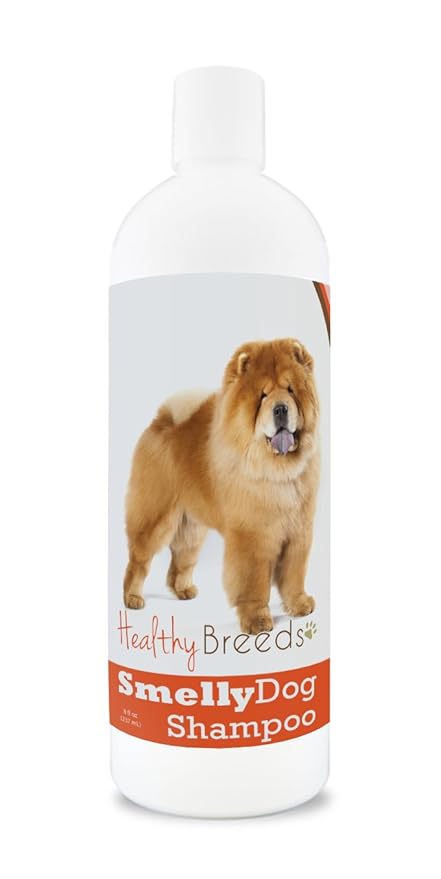 chow chow hypoallergenic