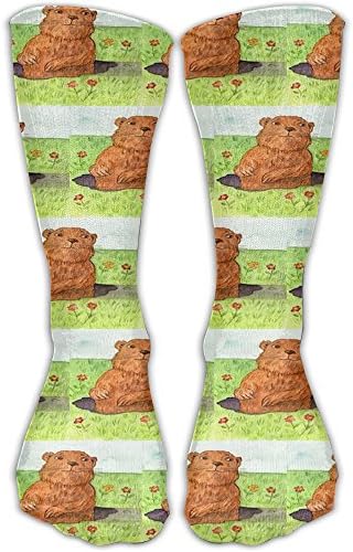 Groundhog Day Crew Socks Cotton Casual Knitting Warm Winter Socks