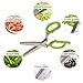 Herb Scissors - Stainless Steel 5 Blades For Fresh Parsley, Garden Herbs, Meat Mincing| Clever Cutter, Housewarming Gifts As Seen On TV | W/ BONUS Strawberry Huller & Brush
