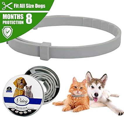 Dog accessories amazon india Clearance