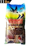 YUMMYWORMS Organic Intact Dried Mealworms Bulk Treats for Backyard Chickens and Wild Birds, Premium Mealworm Treats, 11 Pounds