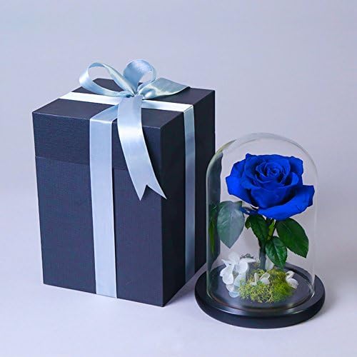 Dulplay プリザーブドフラワー 手作り Diy Led バレンタイン ロイヤルズを枯れることはありません 結婚 セール特価品 18 5x11cm 周年 誕生日 7x4inch