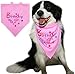 BINGPET Dog Birthday Girl Bandana Pet Scarf Light Pink