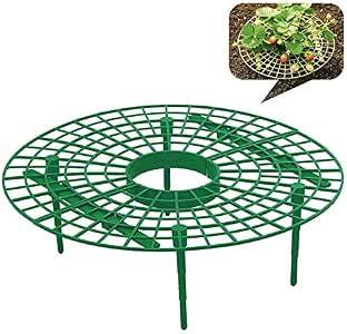 CHuangQi Soporte para Plantar Fresas, Soporte de Soporte para ...