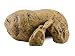 Exo Terra 0015561229319 1 Reptile Cave - Medium, Multicolor primary