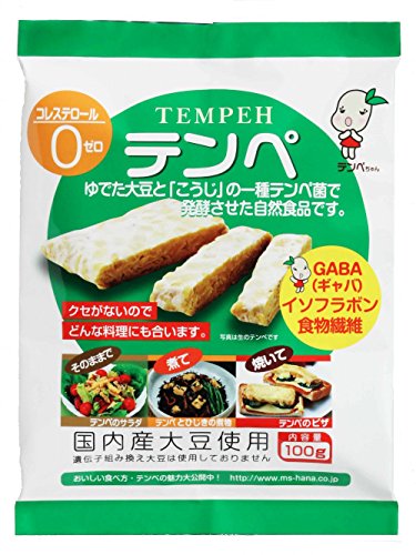 Marushin food Tempe 100g ~ 10 pieces