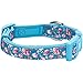 Blueberry Pet 7 Patterns Soft & Comfy Rose Print Cerulean Blue Padded Adjustable Dog Collar, Medium, Neck 14.5