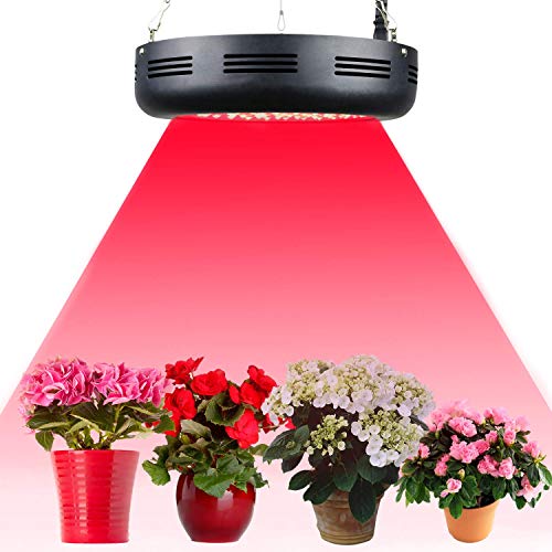 Top 10 Best UFO LED Grow Lights Reviews 20192020