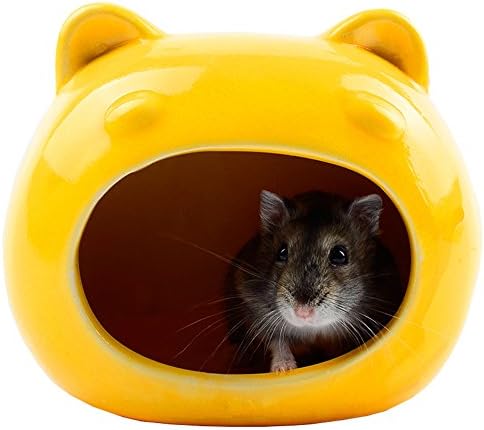 RunHigh Hideout Hut for Small Animals like Dwarf Hamster and Mouse