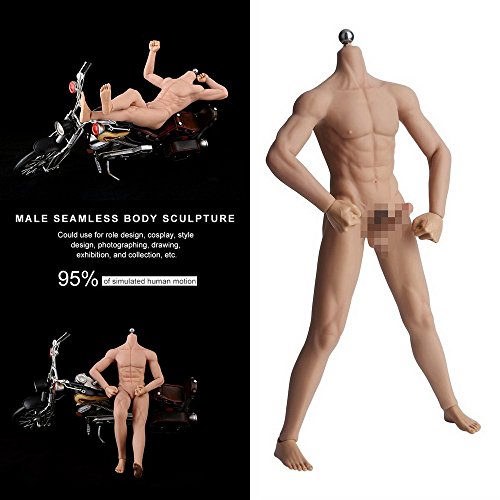 Phicen Level 1/6 Scale Super-Flexible Seamless Muscular Bodybuilding Male Body Doll with Stainless Steel Skeleton, No Head Emulational Ordinary Complexion Action Figure Body