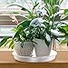 MUDEELA 6 Pack of 14 Inches Plant Saucers for Indoor, Durable Plastic Round Plant Tray Plant Dish Pant Plate to Catch Water for Flower and Plant Pot, Thicker, Stronger, Deeper, Clear