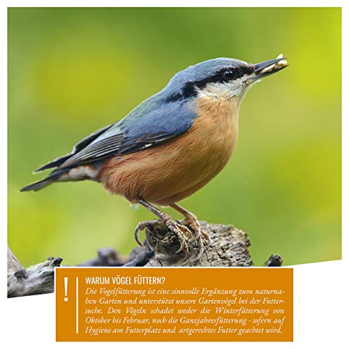 wildtier herz I Vogeltraum Schalenlos - Premium Vogelfutter, Wildvogelfutter Schalenfrei, Ganzjahresfutter mit Sonnenblumenkerne, Vogel Streufutter (5kg) – Bild 5