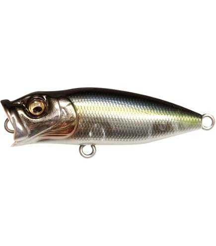 Amazon.com: Megabass POP-X Topwater - GG Wild Gill : Sports & Outdoors