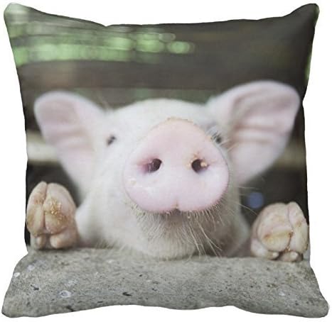 JulianArtsale Baby Pig In Pen 1711 Cotton Linen Pillow Case Cushion Cover Home Decorative 18 X 18 inches