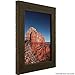 Craig Frames 1.5DRIFTWOODBK 16x20 Picture/Poster Frame, Wood Grain Finish, 1-1/2-Inch Wide, Distressed Black