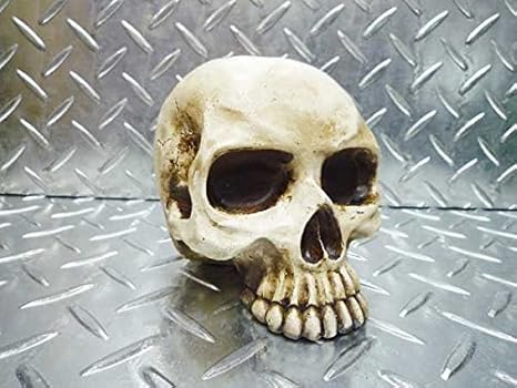 Amazon Co Jp スカルバンク スカルの貯金箱 頭蓋骨 ガイコツ 骨型