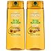 Garnier Hair Care Fructis Triple Nutrition Shampoo, Dry to Very Dry Hair, 2 Count