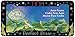 Chroma 6001 Tinkerbell Glitter Plastic Frame