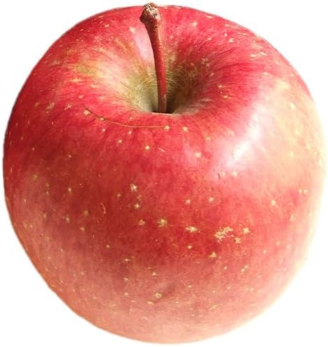 Amazon 送料無料 一部地域除く 青森産訳ありふじ５ｋｇ ２０ １４玉 ナチュラルフルーツ 果物 通販