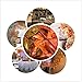 50Pcs Gold & Rose Gold & Champagne Gold Color Latex Party Balloons -Wedding Party Graduation Birthday Hawaii Party Decoration Supplies
