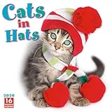 Cats in Hats 2020 Wall Calendar by 