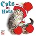 Cats in Hats 2020 Wall Calendar by 