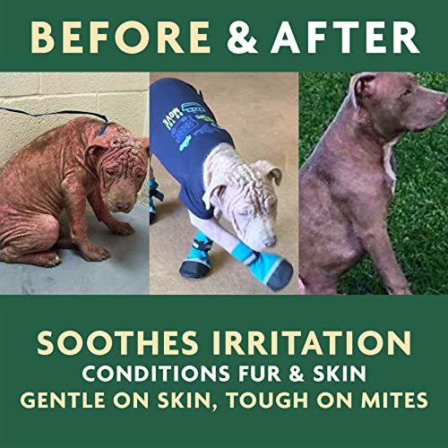 Mange Relief for Dogs & Cats 8 Oz. Cat & Dog Itch Relief