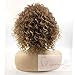 Vigour Beauty Wigs for Black Women Afro Kinky Wig Short Curly Wigs Blonde and Brown Ombre Wig Heat Resistant Fiber 14'' with Wig Cap