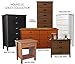Venture Horizon 8 Drawer Nouvelle Dresser Black