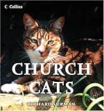 Church Cats by