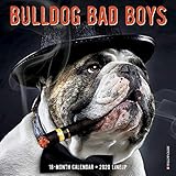 Bulldog Bad Boys 2020 Mini Wall Calendar (Dog Breed Calendar) by 