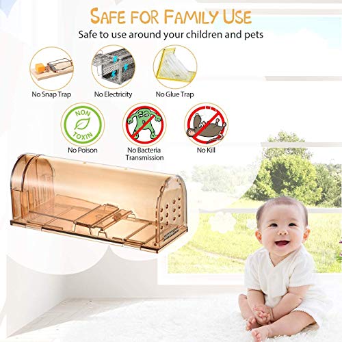 jingtai Humane Mouse Trap, No Kill Small Mice Traps That Work for for Small Rodent/Voles/Hamsters/Moles Catcher, Indoors Outdoors Pack of 4 with Cleaning Brush