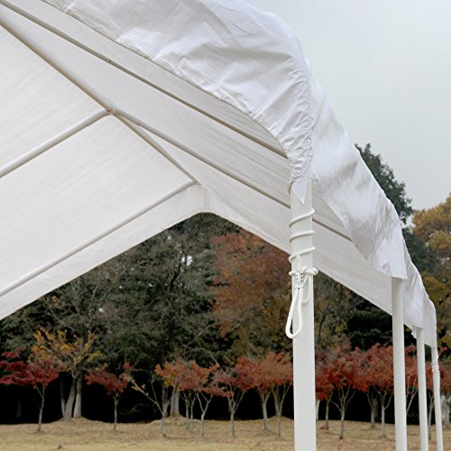 Snail 10 X 20 Feet Outdoor Enclosed Domain Carport Canopy Portable